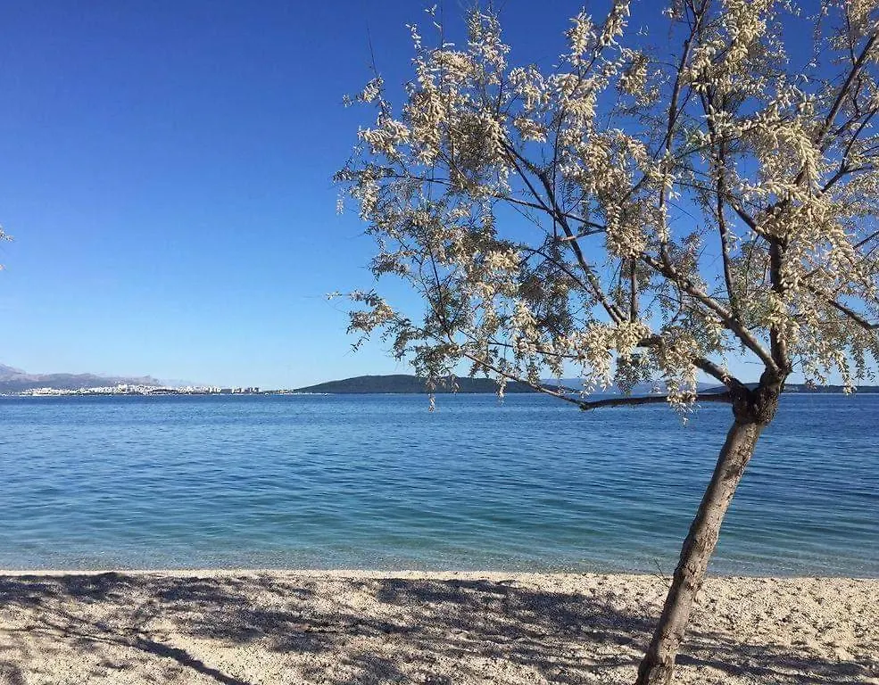 Olea Daire Kastela Hırvatistan