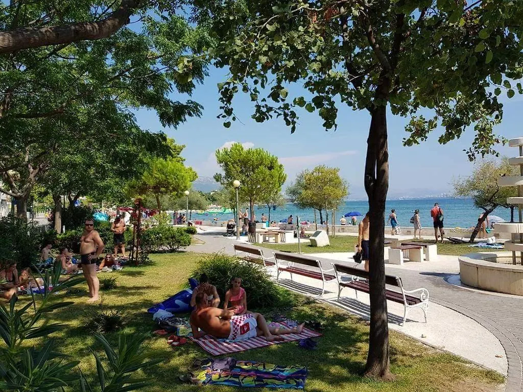 Olea Daire Kastela Hırvatistan