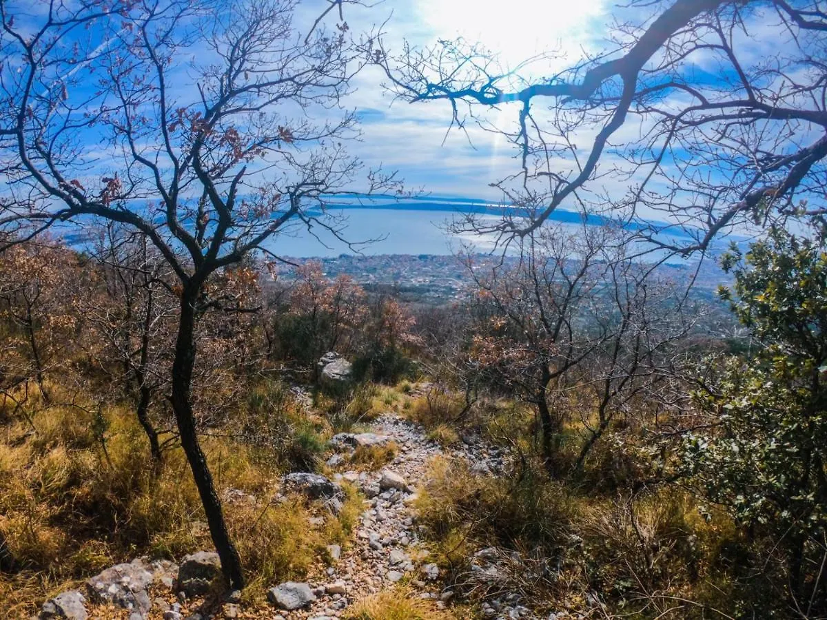 Olea Daire Kastela
