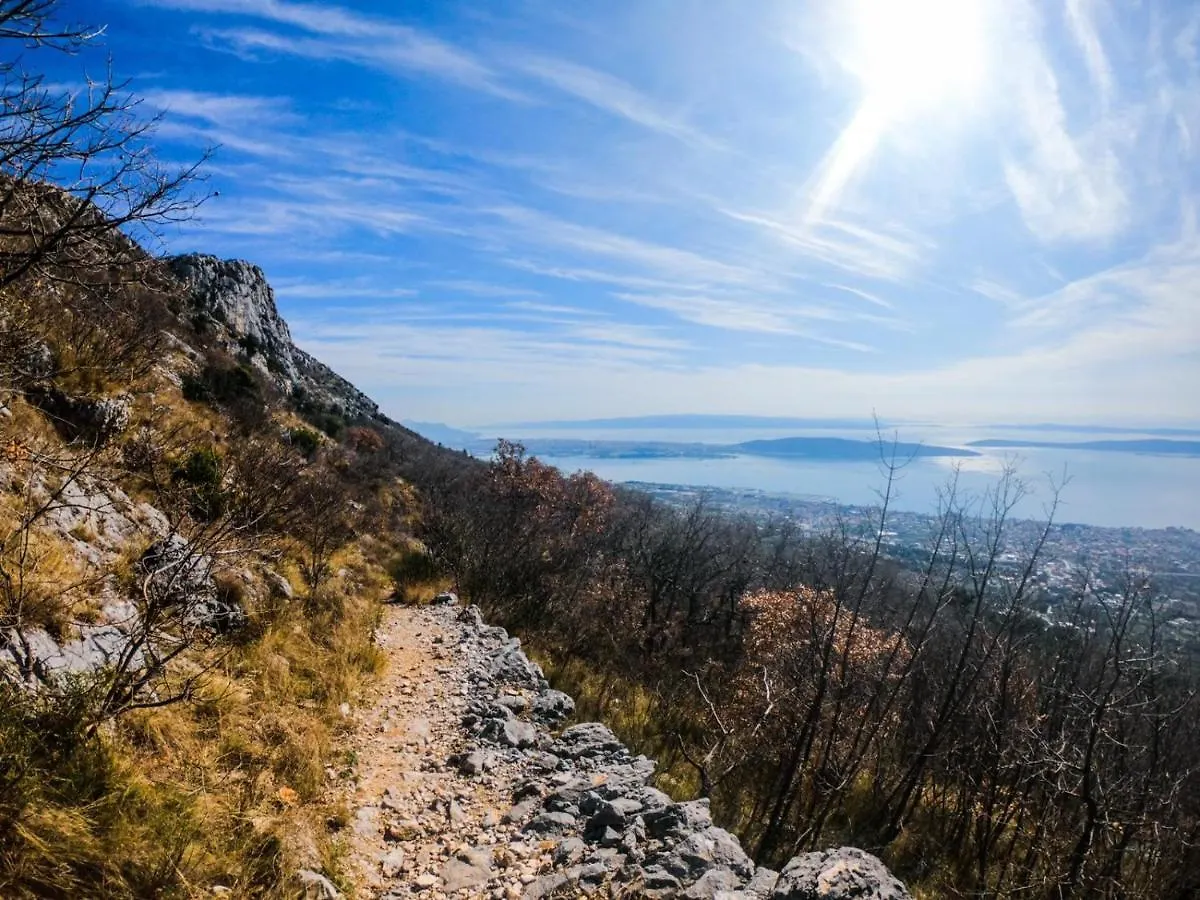Olea Daire Kastela