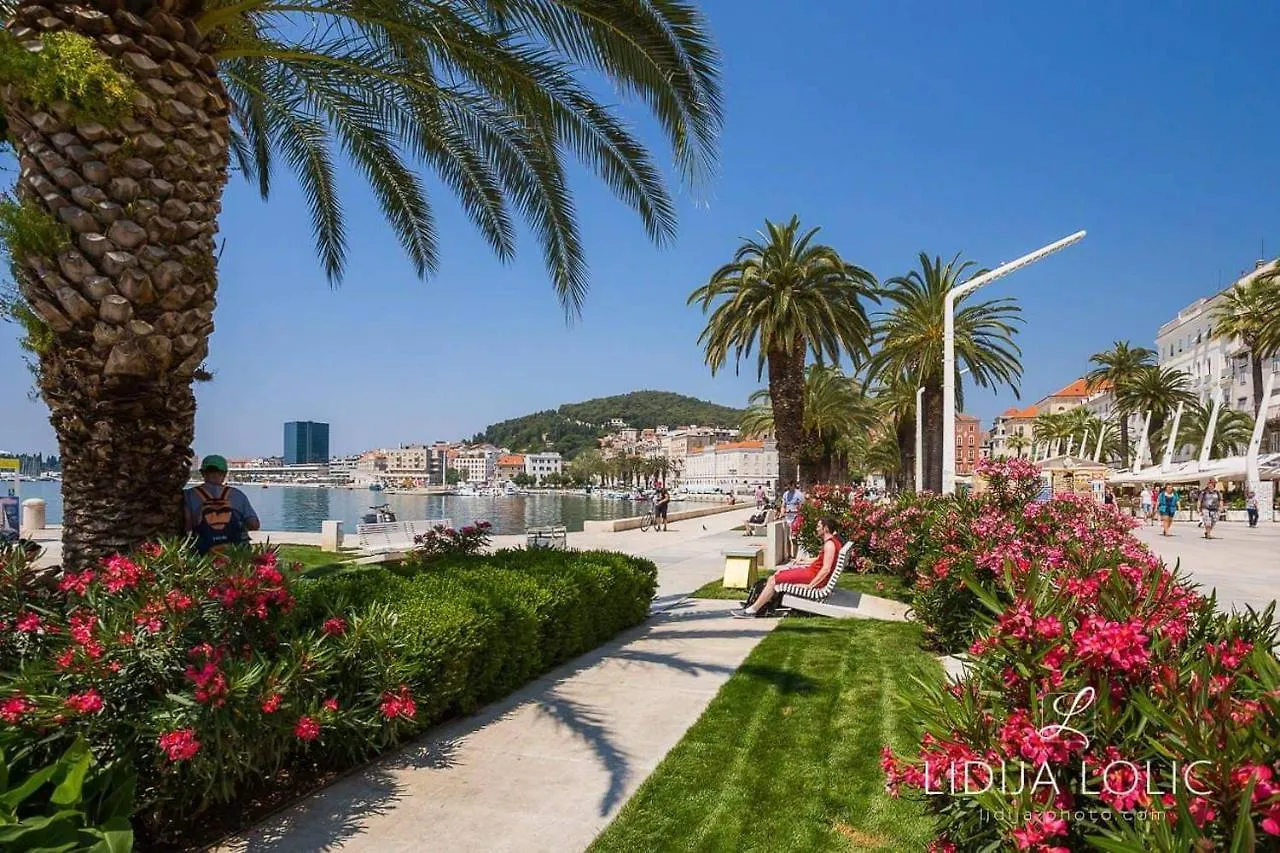 Olea Apartment Kastela Croatia